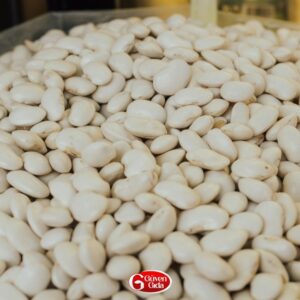 erzurum bomba fasulye