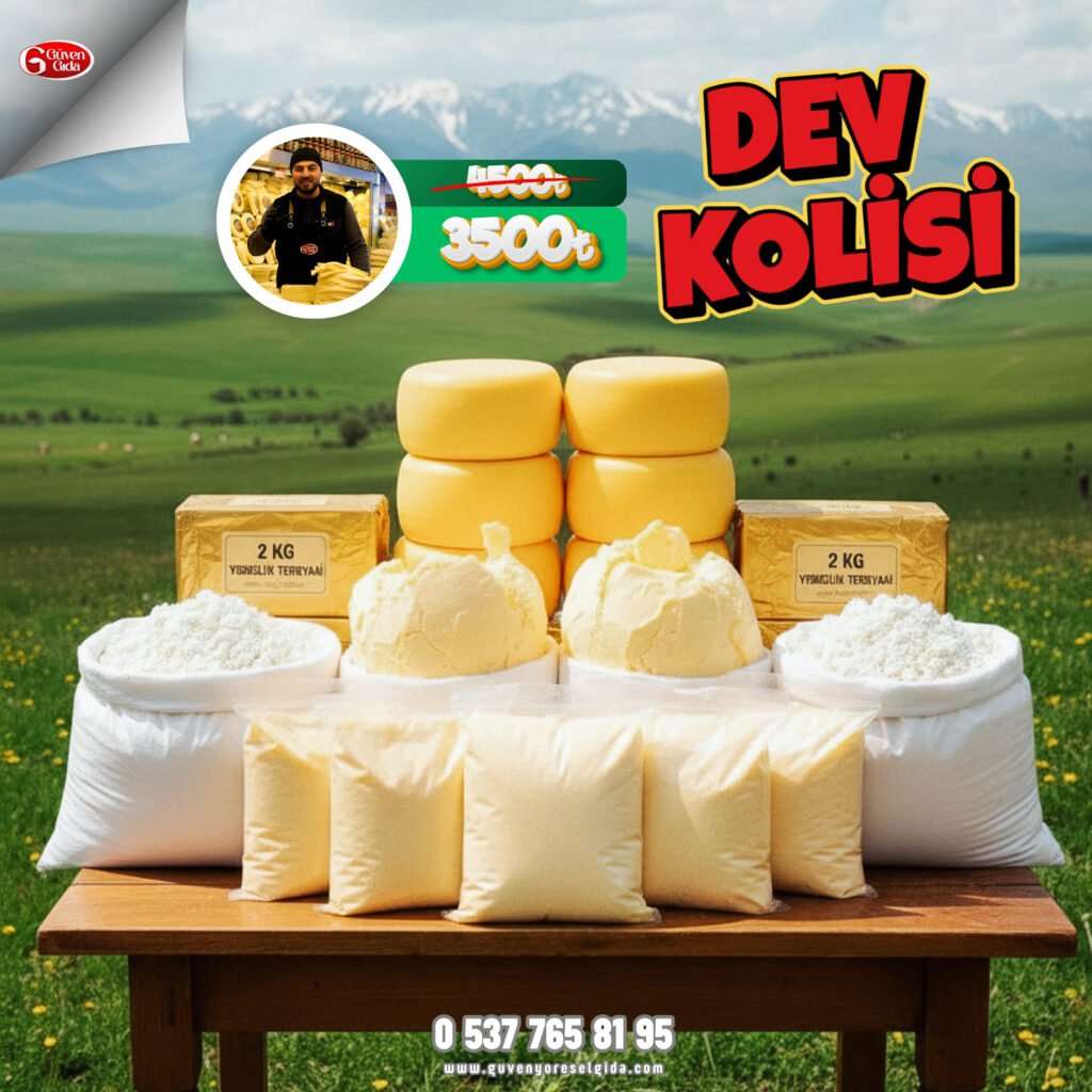 dev kolİsİ